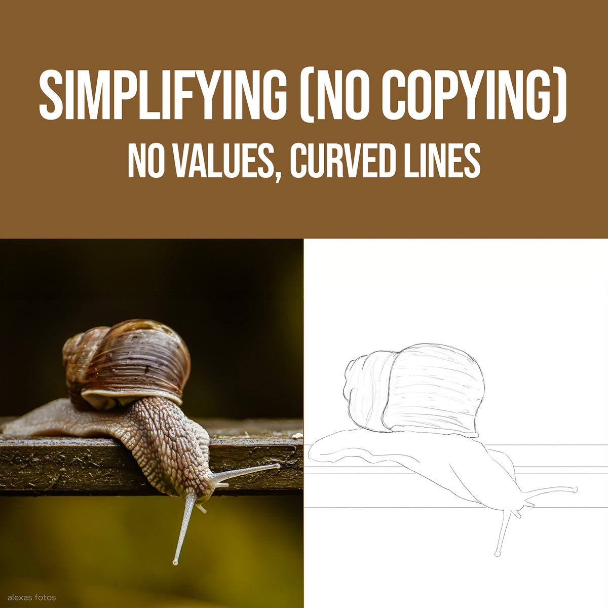 Snail Digital Drawing