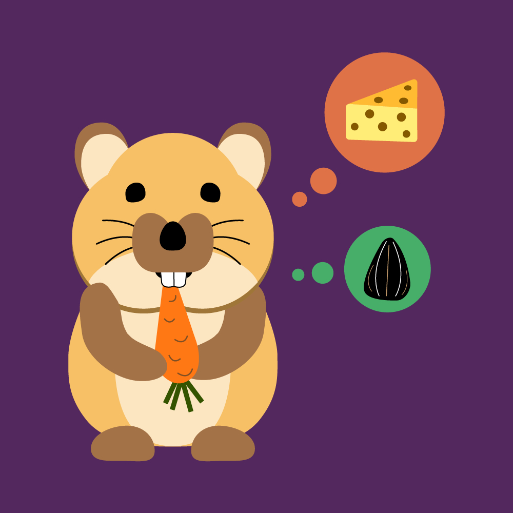 Hamster Thoughts Illustration
